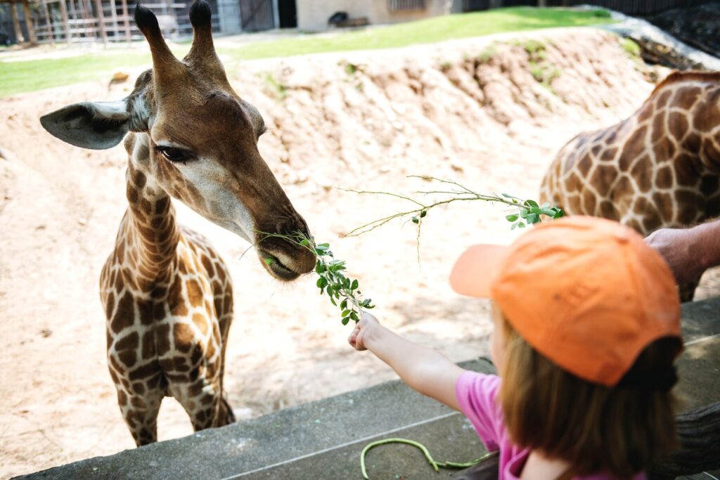 Wspólna wycieczka do zoo z małymi dziećmi
