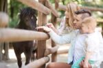 Wspólna wycieczka do zoo z małymi dziećmi